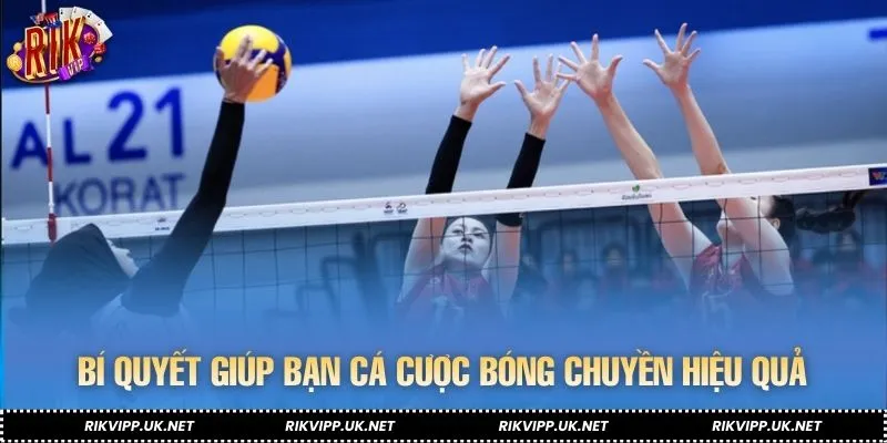 Tổng hợp mẹo cược bóng chuyền thực chiến từ cao thủ